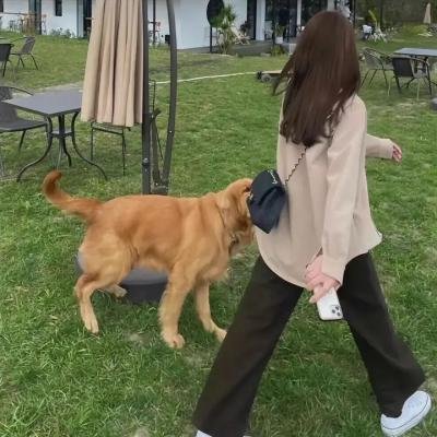 婚姻之痒